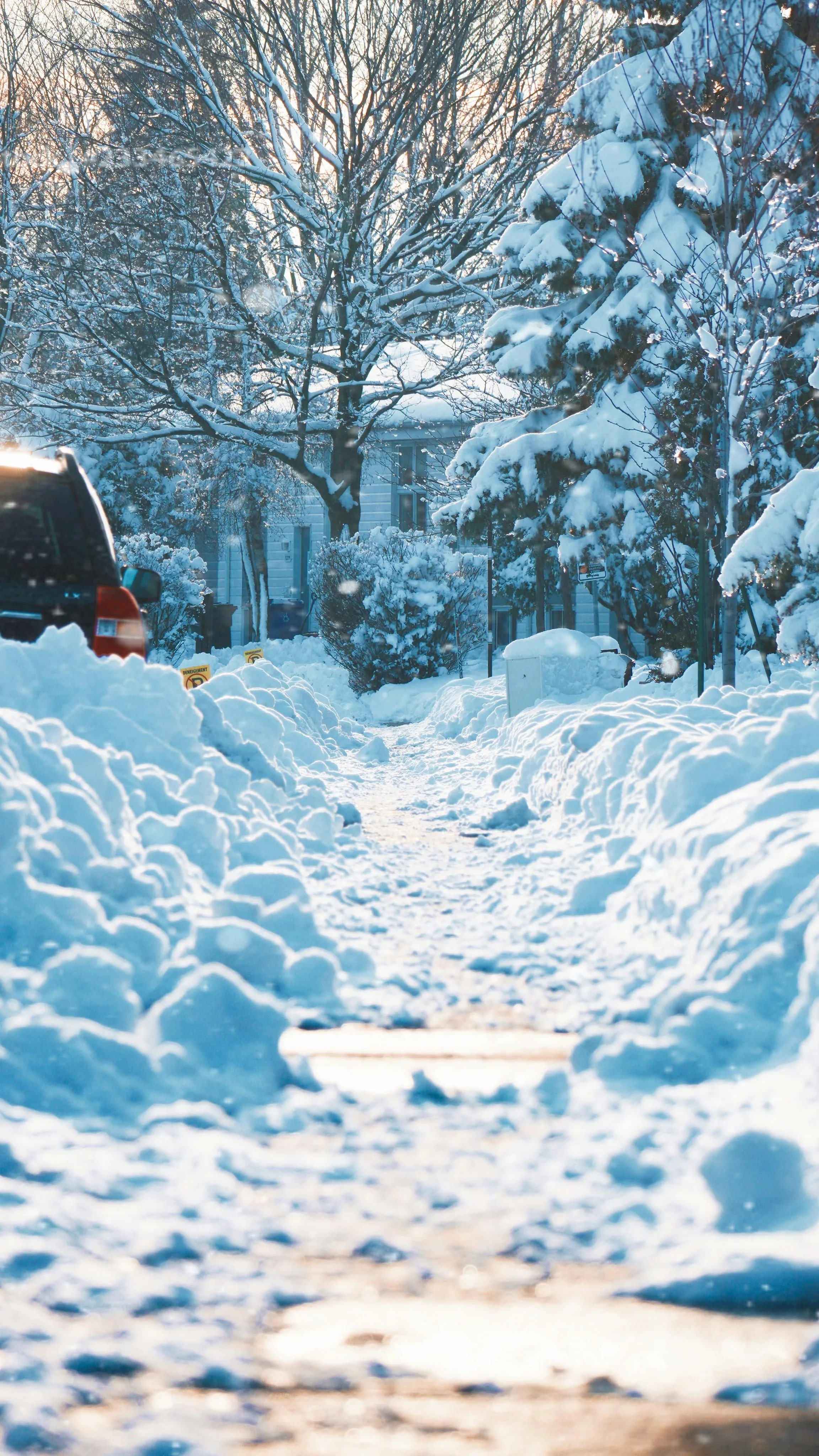 Quality drywall repair