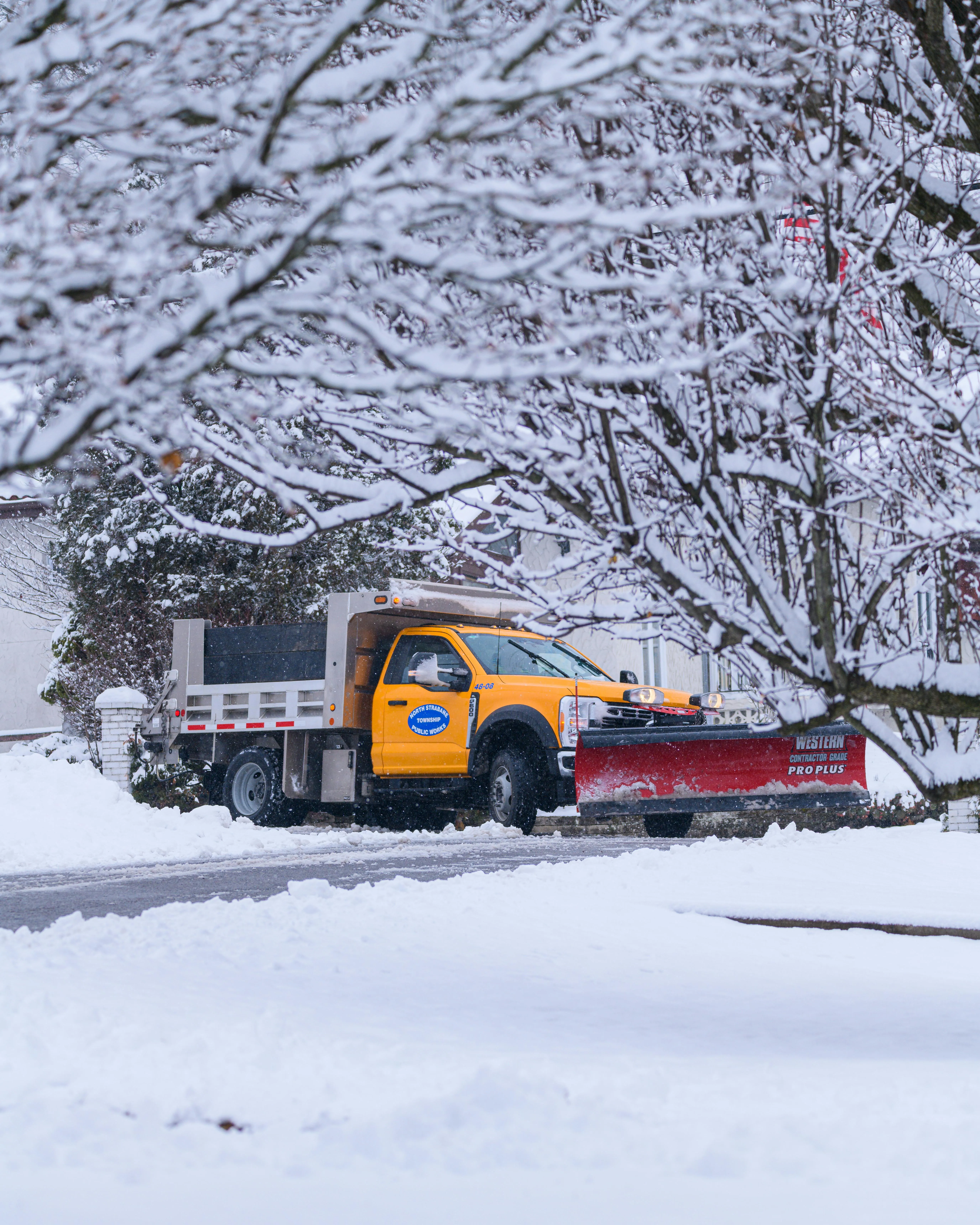 Committed To Keep Paths Clean & Safe